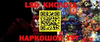 спайс Владимир