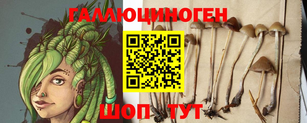 Галлюциногенные грибы Psilocybe  Вход с VPN  Когалым 